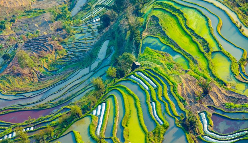 走进宾阳县TVC拍摄：解锁本地化场景与创意镜头的完美融合